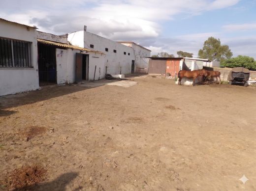 Rural or Farmhouse in Algeciras, Cadiz
