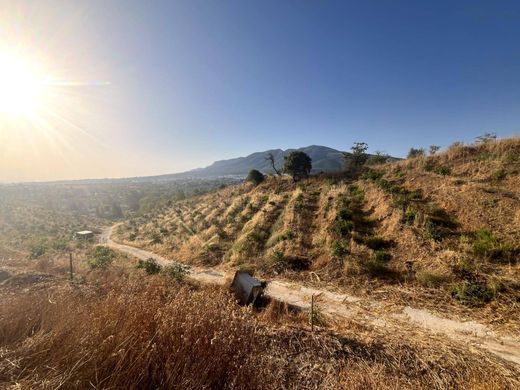 Grond in Alhaurín el Grande, Provincia de Málaga