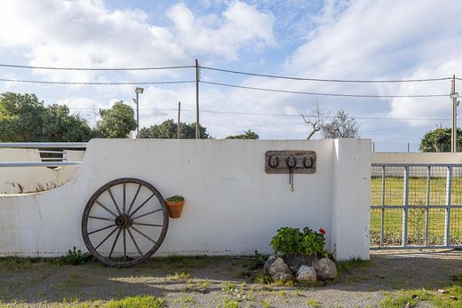 Rustico o Casale a Palma di Maiorca, Isole Baleari