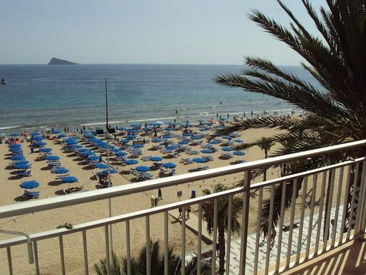 Apartment in Benidorm, Alicante