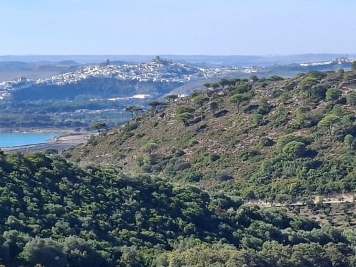 Rural ou fazenda - El Bosque, Provincia de Cádiz