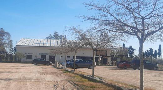 Rural or Farmhouse in Deltebre, Province of Tarragona