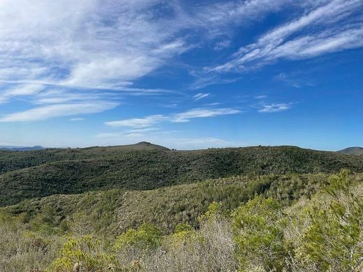 Land in El Montmell, Province of Tarragona