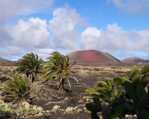 Maison individuelle à Tías, Province de Las Palmas