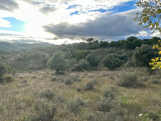 Terrain à Navas del Rey, Province de Madrid