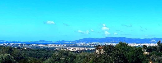 Terreno en Palma de Mallorca, Islas Baleares