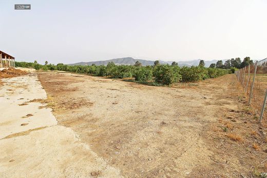 Rural ou fazenda - Málaga, Andaluzia