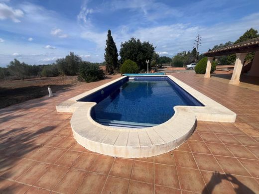 전원/농가 / Llucmajor, Illes Balears