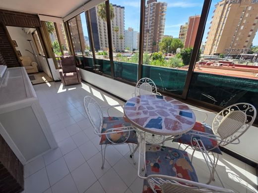 Apartment in Benidorm, Alicante