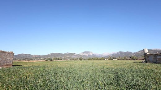 Terreno en Binissalem, Islas Baleares