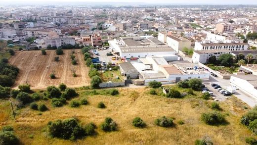 Land in Campos, Province of Balearic Islands