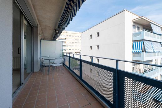 Daire Badalona, Província de Barcelona