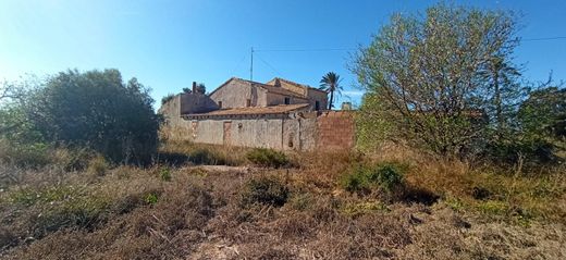 Rustico o Casale a Elx, Provincia de Alicante