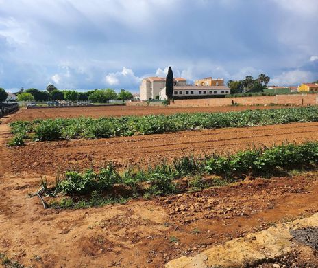 Torredembarra, Província de Tarragonaの土地