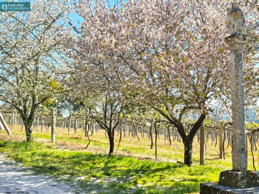 Luxury home in Vedra, Provincia da Coruña