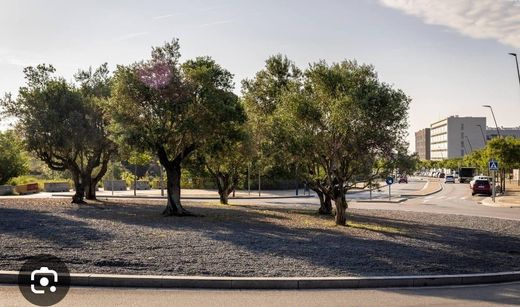 Arsa Terrassa, Província de Barcelona