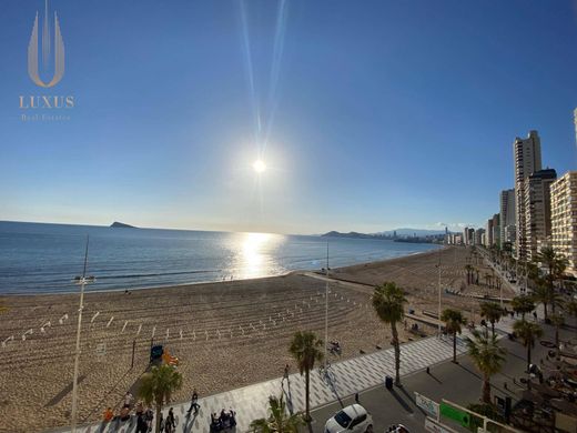 Benidorm, アリカンテのアパートメント
