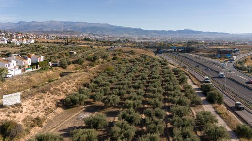 Land in Albolote, Granada