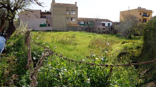 Grond in Lloseta, Balearen