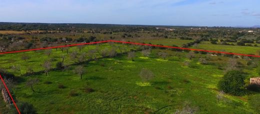 Terreno a ses Salines, Isole Baleari