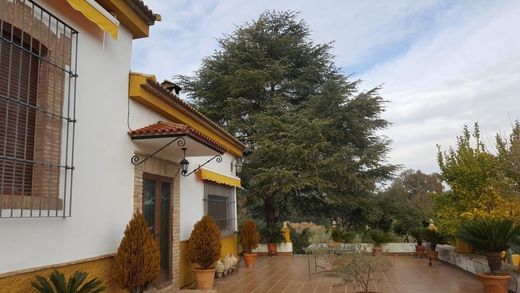 Vrijstaand huis in Andújar, Provincia de Jaén