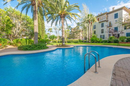 Apartment in Palma de Mallorca, Province of Balearic Islands