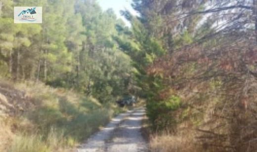 Land in Querol, Province of Tarragona