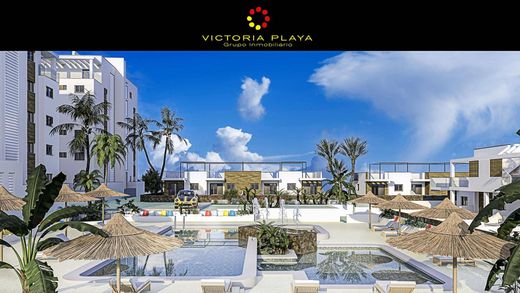 Apartamento - Pilar de la Horadada, Provincia de Alicante