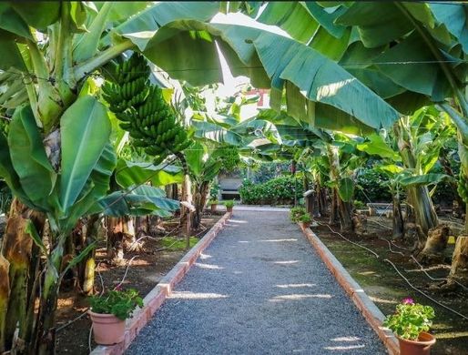 Villa Arona, Provincia de Santa Cruz de Tenerife