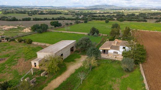 Ρουστίκ ή Αγροικίες σε Manacor, Illes Balears