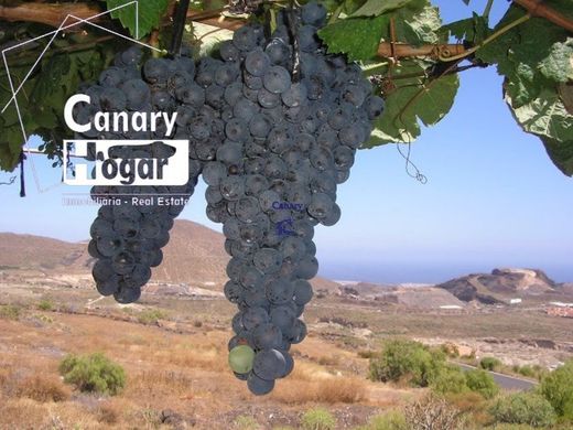 Luxury home in San Miguel De Abona, Province of Santa Cruz de Tenerife