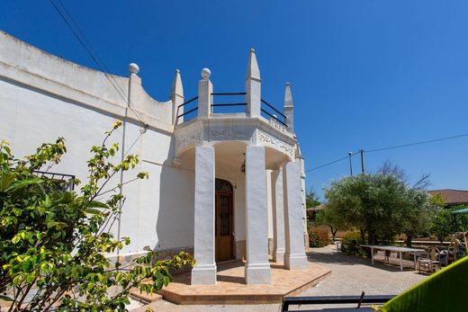 Casa Unifamiliare a San Vicent del Raspeig, Provincia de Alicante