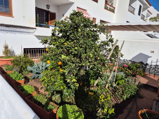 Semidetached House in Güimar, Province of Santa Cruz de Tenerife