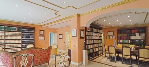 Apartment / Etagenwohnung in Madrid, Provinz Madrid