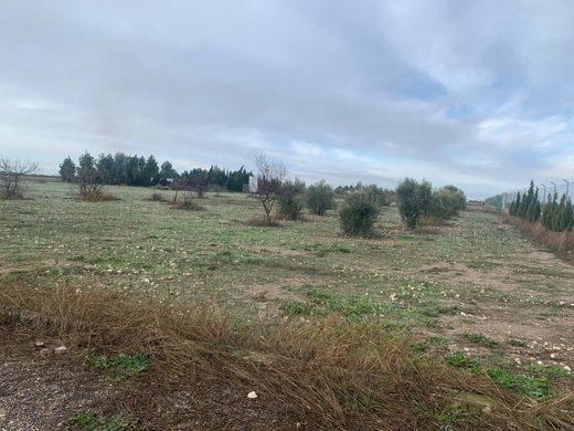 토지 / Albacete, Provincia de Albacete