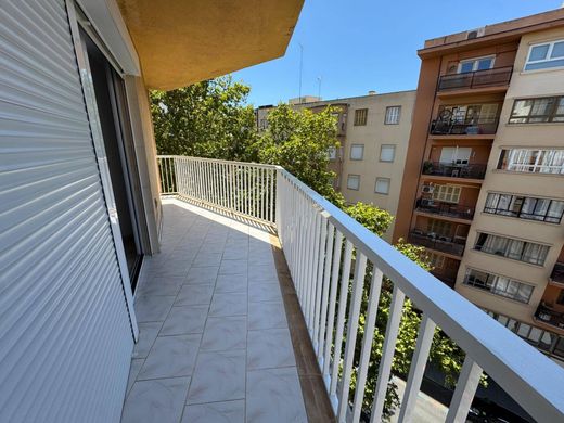 パルマ・デ・マリョルカ, Illes Balearsのアパートメント