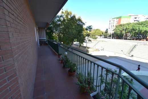 バルセロナ, ばるせろなのアパートメント