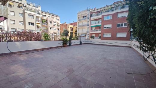 Daire Barselona, Província de Barcelona