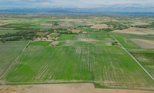 Αγροτεμάχιο σε Manacor, Illes Balears