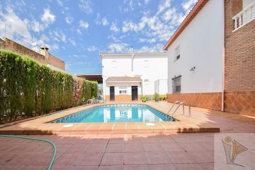 Detached House in Fuente Vaqueros, Granada