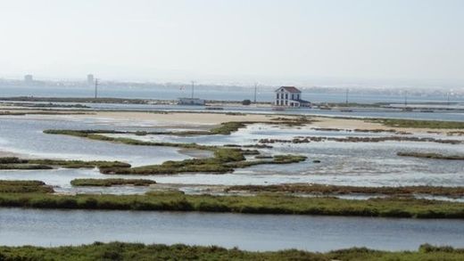 단독 저택 / La Manga del Mar Menor, Murcia
