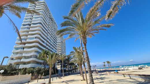Apartment in Alicante, Province of Alicante