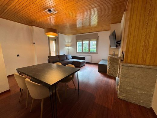 Apartment / Etagenwohnung in La Massana