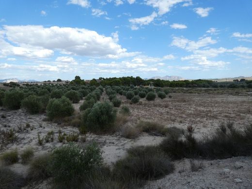 Molina de Segura, ムルシアの土地