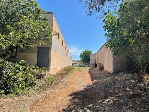 Rural or Farmhouse in Ariany, Province of Balearic Islands