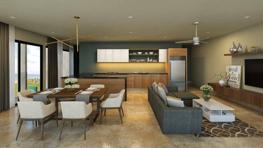 Daire Playa del Carmen, Solidaridad