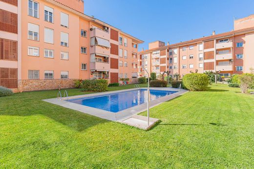 Apartment in Palma de Mallorca, Province of Balearic Islands