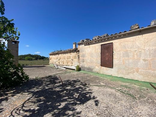 Rural or Farmhouse in Muro, Province of Balearic Islands