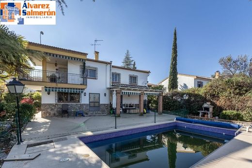 Detached House in Gójar, Granada