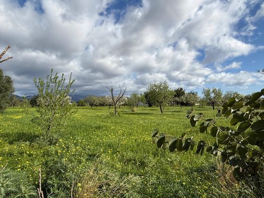 Terrain à Palma de Majorque, Province des Îles Baléares